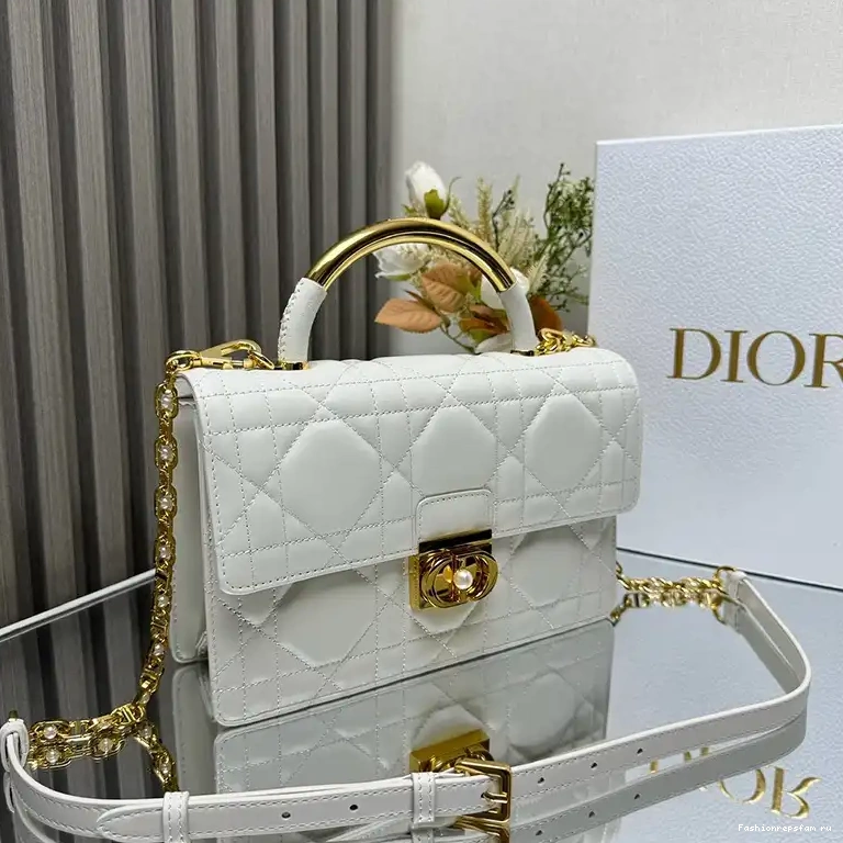 Fashionreps Bags 2407YZ0251 Dio 0728